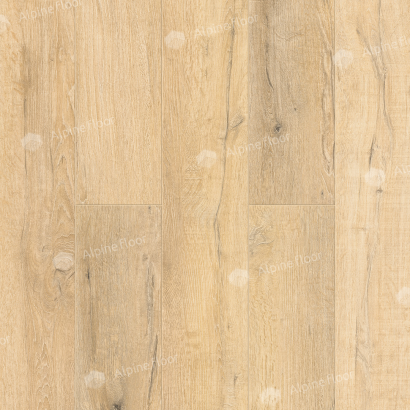 SPC ламинат Alpine Floor Premium XL Дуб медовый ABA ECO 7-16