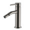 Смеситель для биде, металл AQUAme Siena AQM6216GM